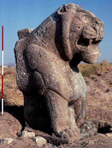 Fragment of the western lion