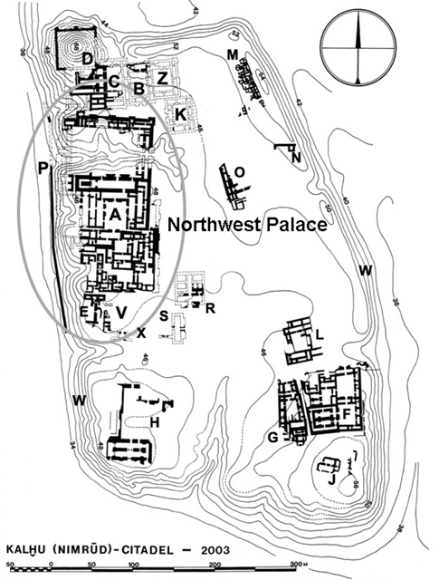 Nimrud citadel plan