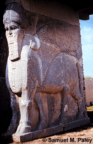 lamassu ED-1