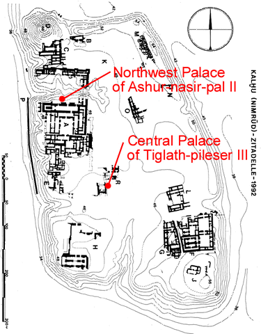 Nimrud citadel plan